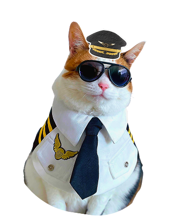 Pilot Maskot